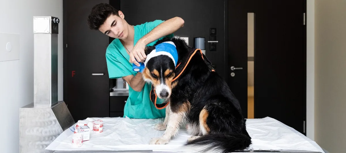 21_09_Beruswahl_Portrait_Lucas_Renold_HL Choix de carrière Lucas Renold : "Le contexte médical m'intéresse".