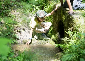 L_Kinder_Spielen_Wald_-jpg Schwimmen