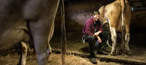 sek-gymi-gymnasium-school-swiss-parents-magazine-scaled Secondary school or grammar school. Boy in the cowshed talks about grammar school.