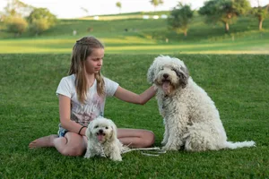 Anna_with_Camillo_and_neighbour_dog-scaled Holiday dog: a temporary pet for the family