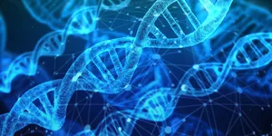 Gene_und_Schulerfolg_L-1 Entscheiden Gene über den Schulerfolg?