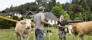 Emily Probst (15), Brückenangebot, Bauernhof, Christian Forster (Praktikumsfamilie); Gips entfernen beim Schaf; mit Tieren; Name der Kühe: Zwischenlösung: Emily hat dank eines Zwischenjahrs ihre Wunschlehrstelle auf einem Bauernhof erhalten.