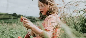 A little girl sits on long grass on a summers day, picking buttercups Allergien bei Kindern nehmen zu: Ein Mädchen sitzt in einem Feld.