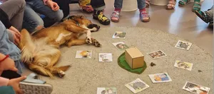 24-05-tierethik-schweizer-elternmagazin-hg Tierethik und Tierschutz an Schulen