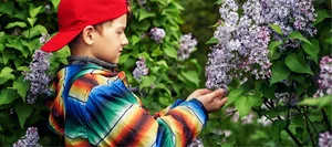 24-12-neophyten-lch-schweizer-elternmagazin-hg Neophyten: Bub betrachtet kritisch einen Sommerflieder