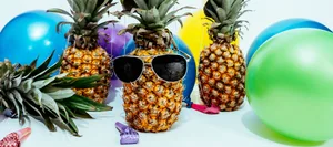 Party_Ananas_HL Hurra