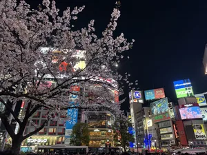 26-06-Voyage au Japon – Magazine suisse des parents – éd Japon, carrefour de Shibuya : voyage avec des adolescents