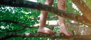 06_20_Série_2_HL La confiance en soi : Comment les enfants trouvent leur voie dans la vie