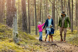 young family walking and exploring the forest with children. nature adventures young family walking and exploring the forest with children. nature adventures