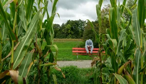 Dossier Sucht Noah Dossier Sucht Jugendlicher sitzt auf einer Bank im Grünen