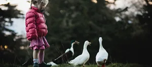 24-02-asilo-gut-eingelebt-kiga2-aufmacher-hg-neu Scuola materna: Il bambino ha completato i primi sei mesi.