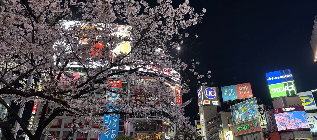 26-06-Japan-Reise-schweizer-elternmagazin-hg Japan, Shibuya Kreuzung: Reise mit Teenagern