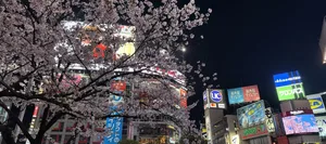 26-06-Japan-Reise-schweizer-elternmagazin-hg Japan, Shibuya Kreuzung: Reise mit Teenagern
