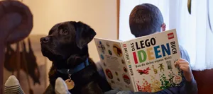 L_Salute_Psicologia_Finn_Autismo Con il cane Finn, l'undicenne autistico Tom padroneggia la vita di tutti i giorni