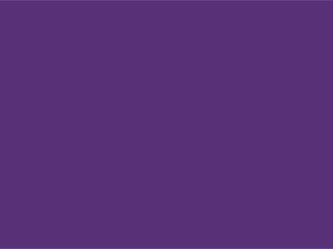 Logo_frauen_Hintergurnd Lesetipps zum Frauenstreik